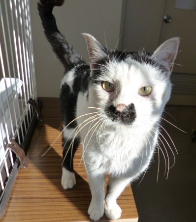 YD25-3-2 (JPG 83.2KB)