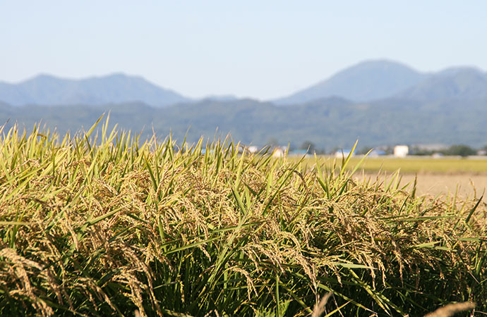 岩見沢市.jpg