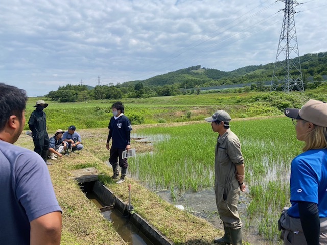 ドローン湛水直播ほ場見学