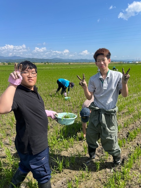 雑草とれました　