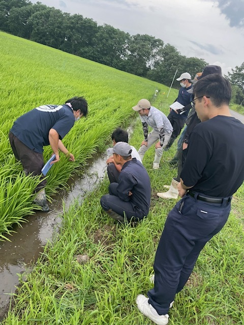 病害虫について説明する竹原専門普及指導員(左)