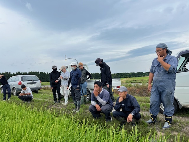 生育状況確認中