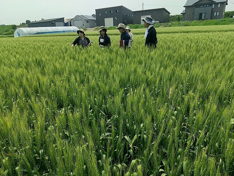 広い視野で違和感が無いか見るのもひとつのコツです
