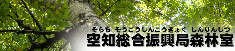 空知総合振興局森林室
