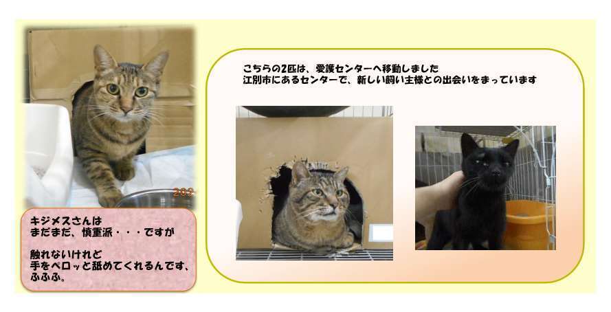 HP用2.jpg
