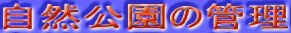 logo2.gif