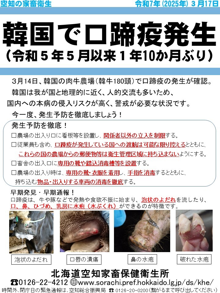 最新の発行物画像