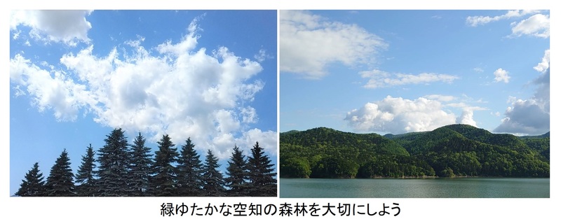 空知の自然（みどり）