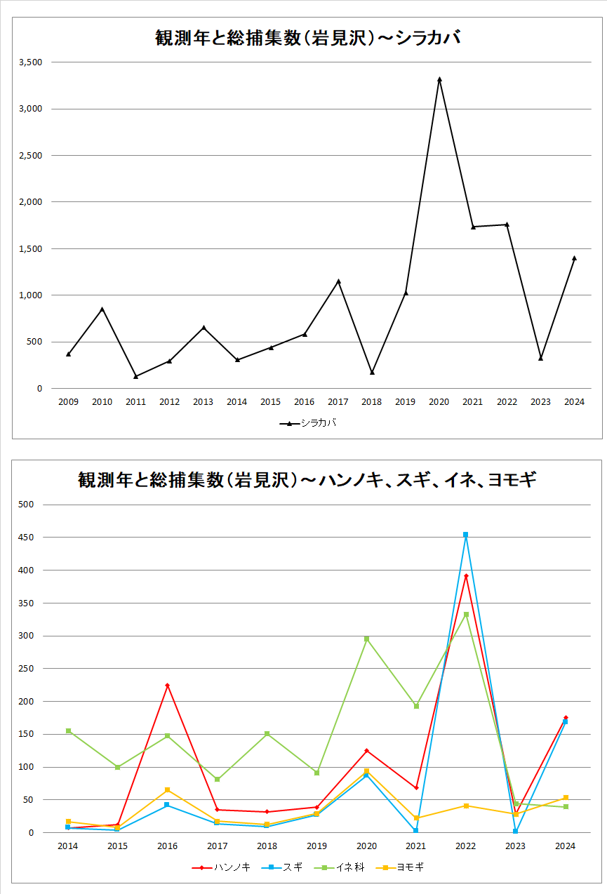 観測年比較表(~2024).png