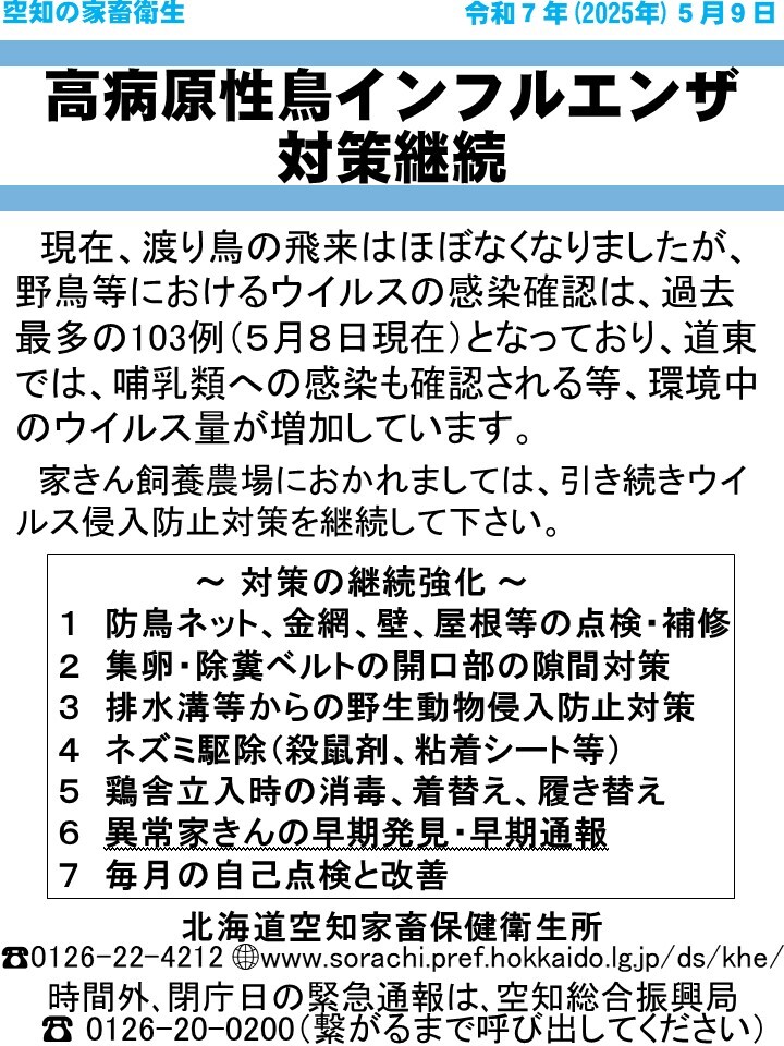最新の発行物