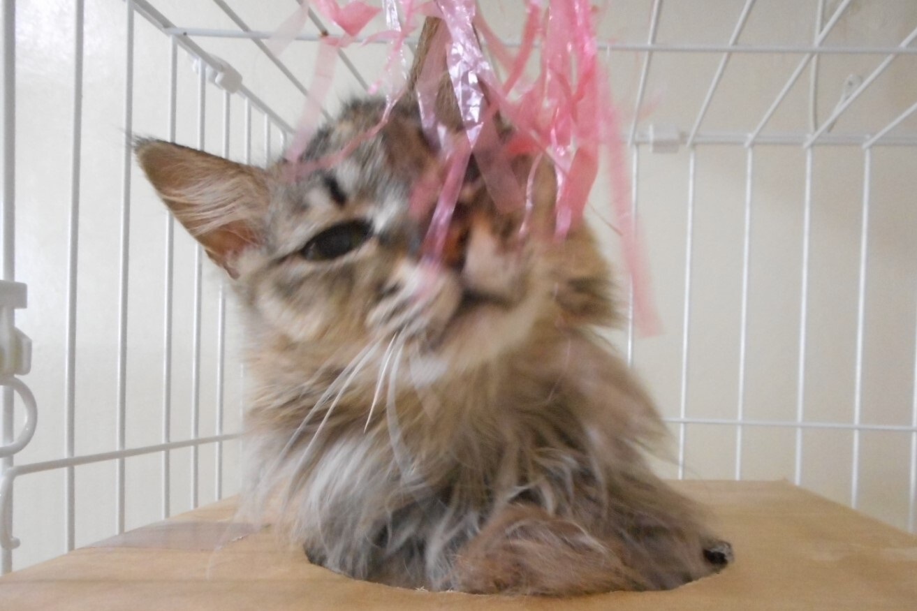 DSCN5507.jpg