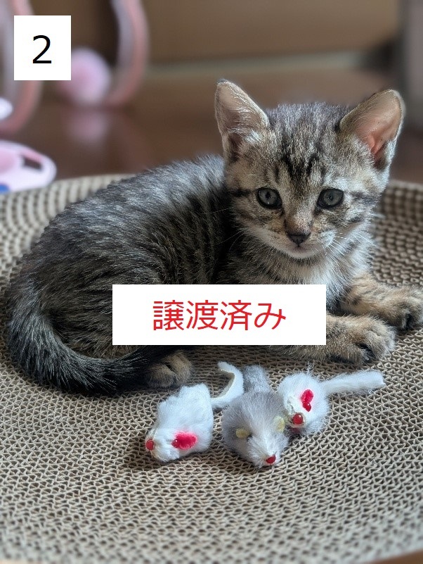 7C-2-2サムネイル.jpg