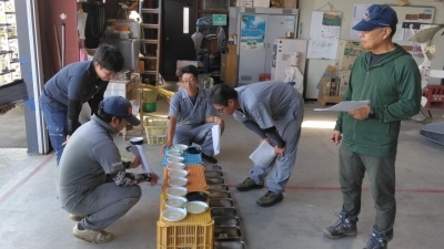 サンプルの状態を確認