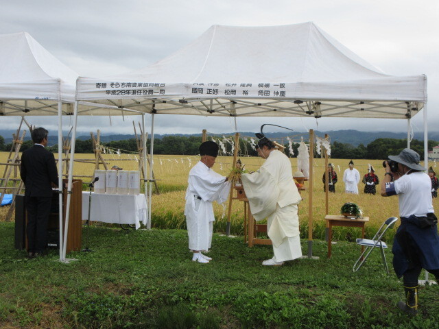 写真3収穫した稲穂を耕作長から神殿に