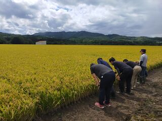 芦別市　福住・常磐ブロック