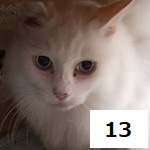 7C-6-13サムネイル.jpg
