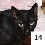 7C-6-14サムネイル.jpg