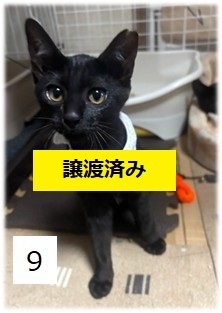 7C-5-9サムネイル2.jpg