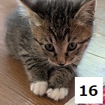 7C-7-16サムネイル.jpg