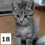 7C-7-18サムネイル.jpg