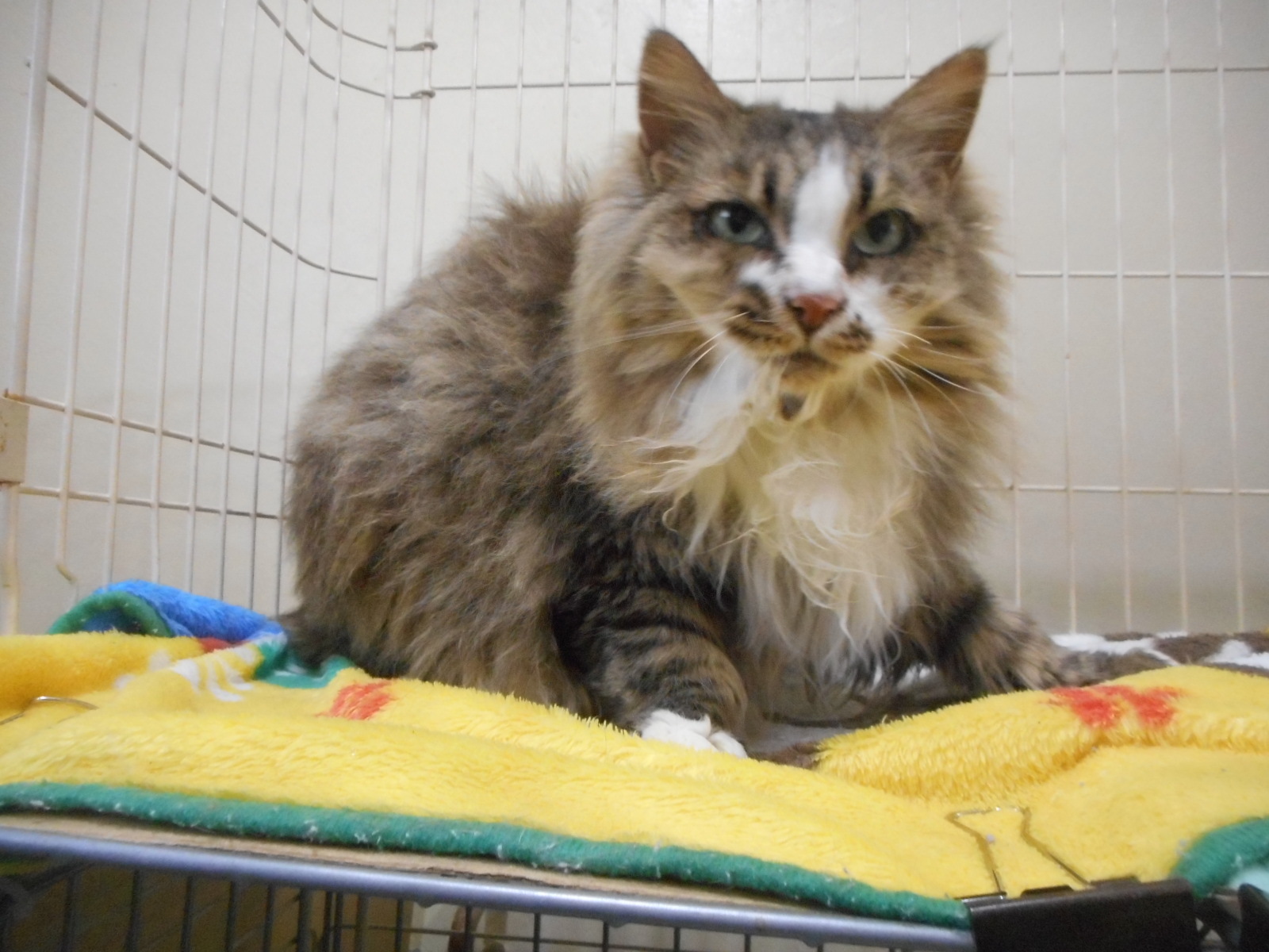 DSCN5653 (JPG 431KB)