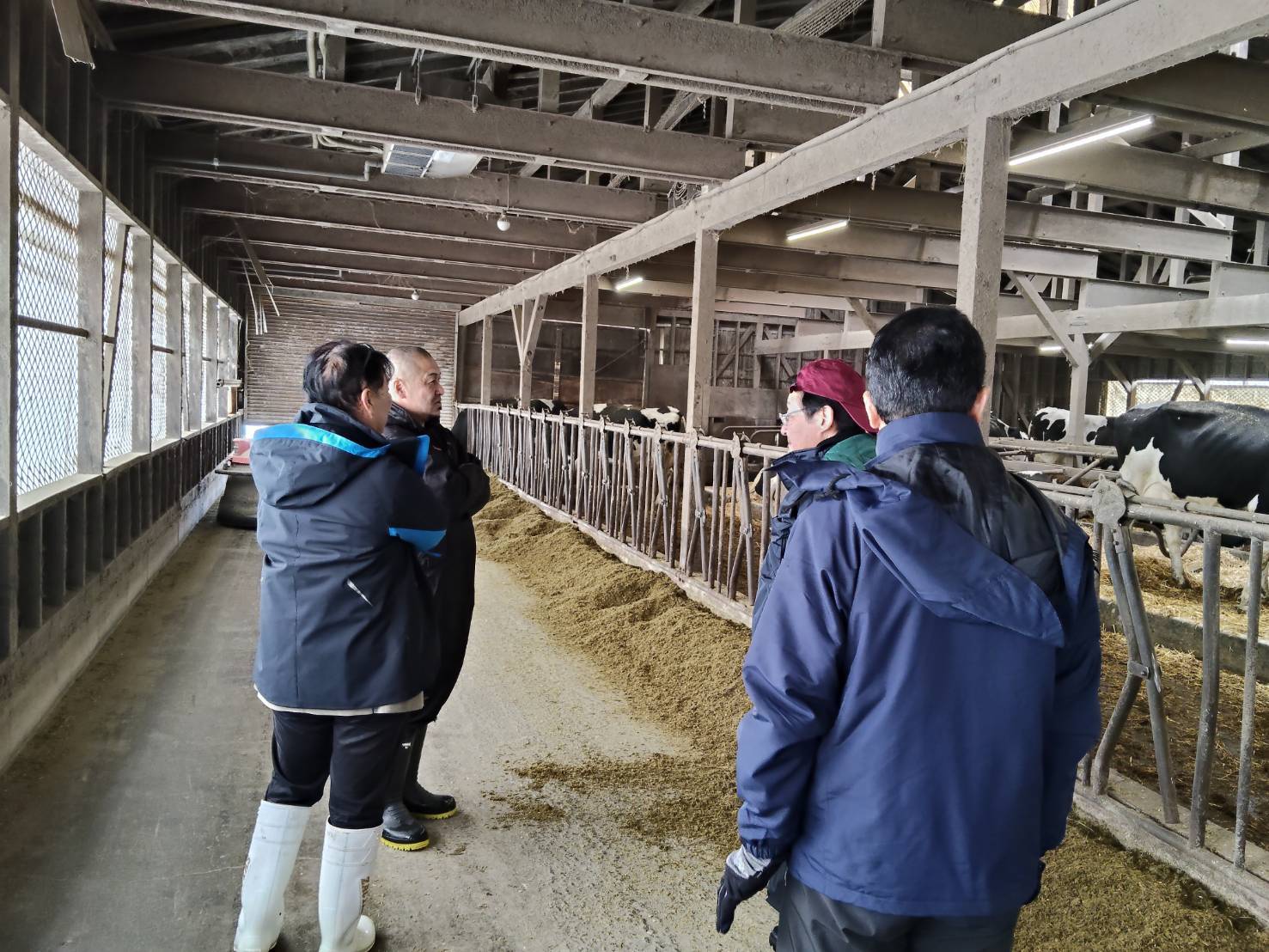 写真1_有限会社妹背牛牧場にて農場HACCPの審査