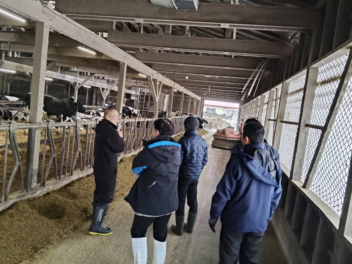 写真2_有限会社妹背牛牧場にて農場HACCPの審査