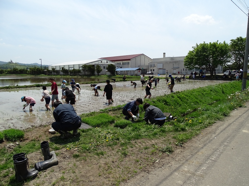 田植え終了写真