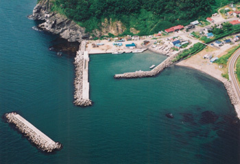 濃昼漁港の写真