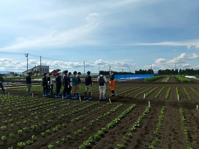 写真3　様々な豆類の栽培試験ほ