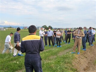 子実コーン栽培ほ場での現地研修の写真