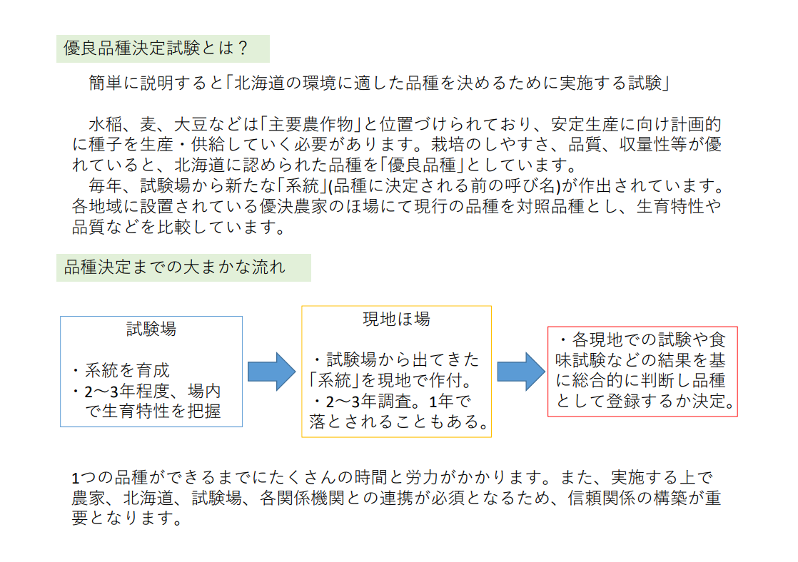 優良品種決定試験 (PNG 293KB)